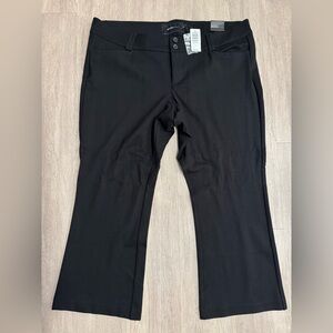 Torrid Trouser Straight Studio Luxe Ponte Pant